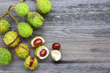 kestane kopya alanı metniniz için eski ahşap zemin üzerine. Üstten Görünüm