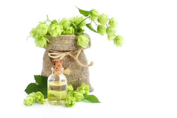 Färska Gröna Humle Humulus Säckväv Säck Med Medicinalväxt Extrahera Glasflaska — Stockfoto