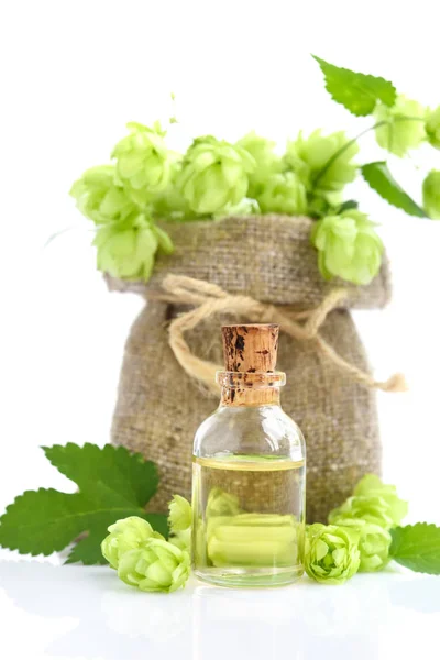 Fresh Green Hops Humulus Burlap Bag Medicinal Plant Extract Glass — Stock Photo, Image