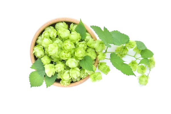 Hop Cones Humulus Wooden Bowl Isolated White Background Top View — Stock Photo, Image