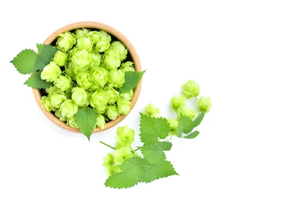 Hop Cones Humulus Wooden Bowl Isolated White Background Top View — Stock Photo, Image
