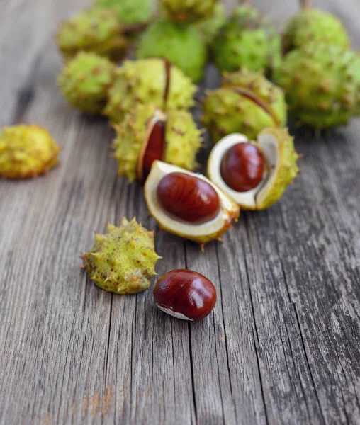 Chestnut Old Wooden Backgroun — Stock Photo, Image