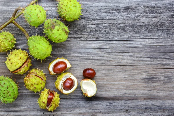 Kastanie Auf Altem Holzgrund Mit Kopierplatz Für Ihren Text Ansicht — Stockfoto