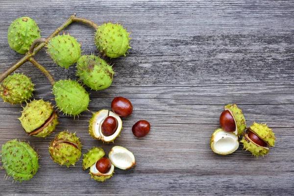 Kastanie Auf Altem Holzgrund Mit Kopierplatz Für Ihren Text Ansicht — Stockfoto