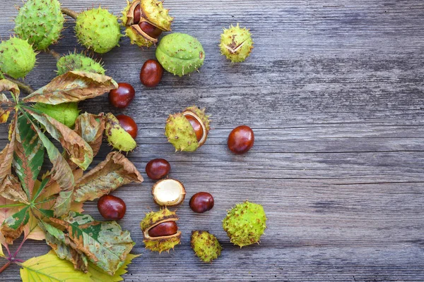 Kastanien Mit Trockenen Blättern Auf Altem Holzgrund Mit Kopierplatz Für — Stockfoto