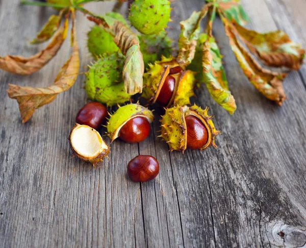 Castanhas Com Folhas Secas Fundo Madeira Velho — Fotografia de Stock