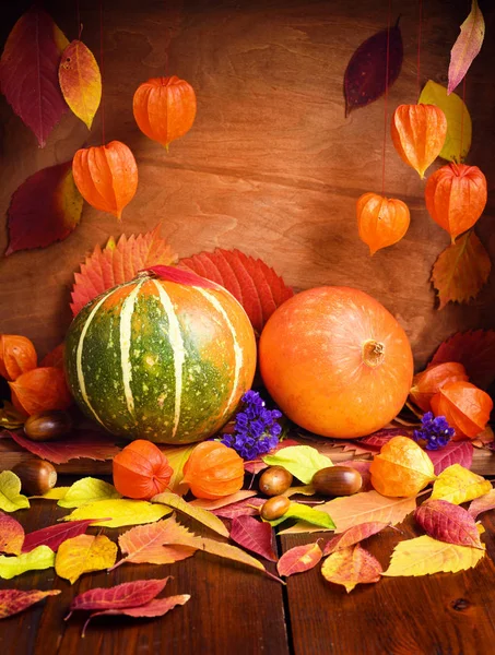 Herfst Stilleven Gezellig Pompoenen Herfstbladeren Physalis Houten Achtergrond — Stockfoto