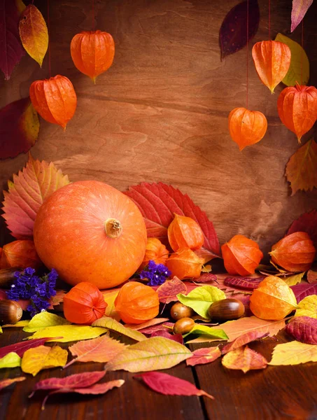 Herfst Stilleven Gezellig Pompoen Herfstbladeren Physalis Houten Achtergrond — Stockfoto