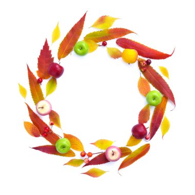 Daire--dan elma ve beyaz arka plan üzerinde izole meyveleri ile sonbahar yaprakları. Üstten görünüm.