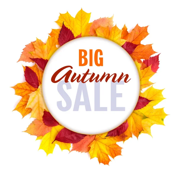 Autumn Sales Banner. Poster with colorful maple leaves with text on white background.