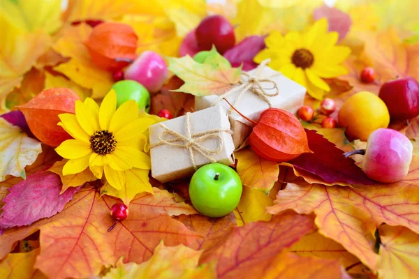 Herfst Achtergrond Met Esdoorn Bladeren Bloemen Appels Bessen — Stockfoto