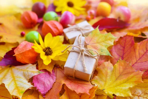 Hösten Bakgrund Med Lönn Löv Blommor Bär Och Äpplen — Stockfoto