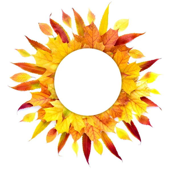 Autumn Circular Frame Colorful Leaves Isolated White Background Top View — Stock Photo, Image