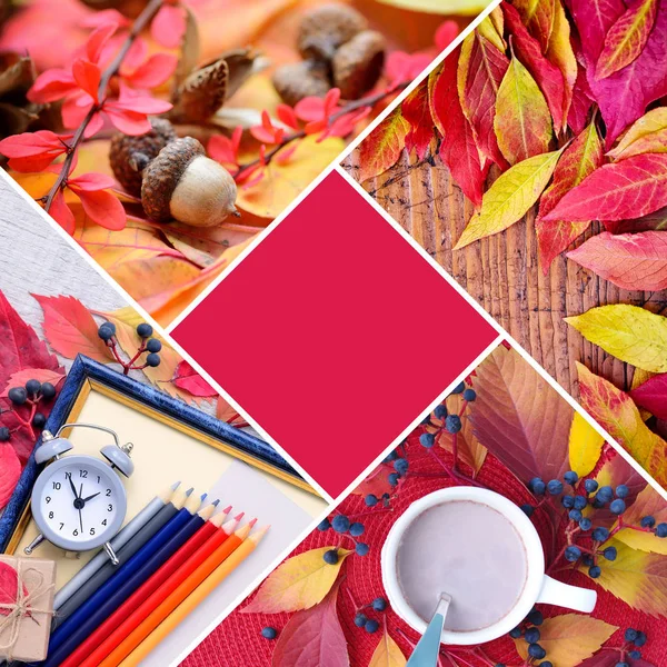 Colagem Criativa Outono Fotos Conceito Outono Com Uma Cor Principal — Fotografia de Stock