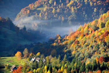 Sabah sis, eski evleri ve parlak ağaçlar ile ışığı güzel sonbahar dağ manzarası