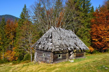 Güzel manzara ile Karpatlar dağlarda eski ahşap kulübe. Sonbahar güneşli gün.