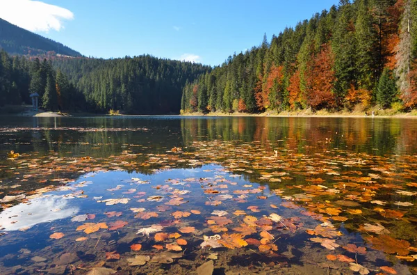 Landskap Med Sjö Hösten Skogen Återspeglas Lugnt Vatten Med Blad — Stockfoto