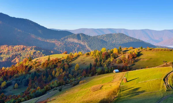 Hermoso Paisaje Montaña Otoño Luz Mañana Con Niebla Colinas Brillantes —  Fotos de Stock