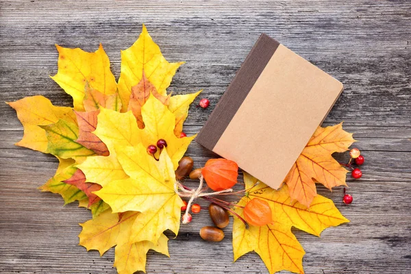Осенние Листья Тетрадь Деревянном Фоне Вид Сверху — стоковое фото