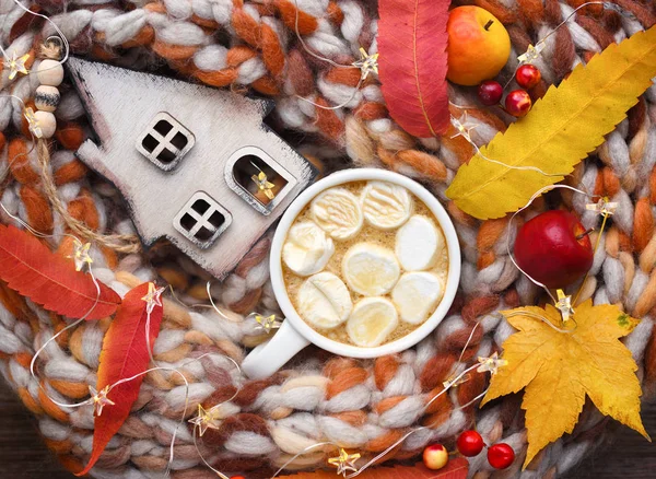 Podzimní Kompozici Šálek Kakaa Marshmallows Dřevěná Bouda Barevné Listí Šála — Stock fotografie