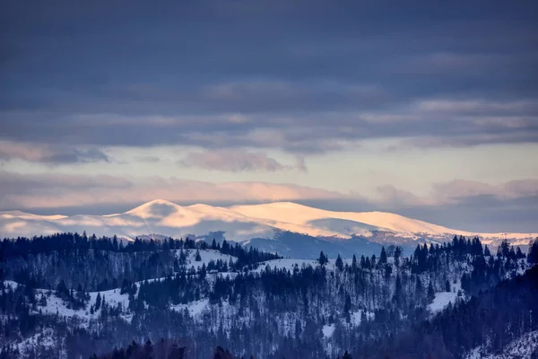 Smukt Bjerglandskab Frosty Vinter Morgen Karpaterne - Stock-foto