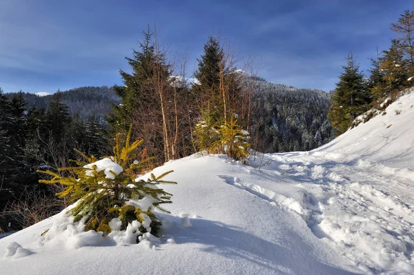 Belle Vue Sur Les Montagnes Par Temps Enneigé Ensoleillé Hiver — Photo