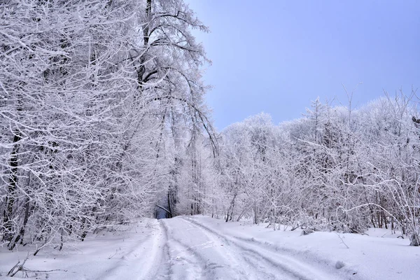 Strada Campagna Invernale Attraverso Foresta Ghiacciata Con Neve — Foto Stock