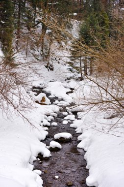 Kış manzarası. Bir nehir boyunca kar ile dağlarda.