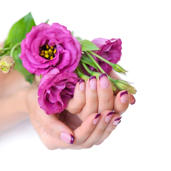 Mãos de uma mulher com manicure rosa francês e flores eustoma — Fotografia de Stock