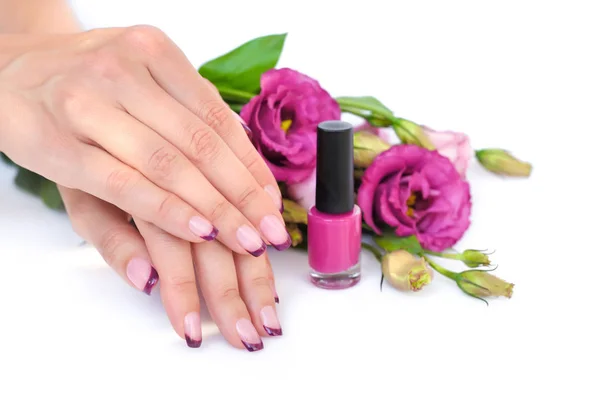 Manos de una mujer con manicura francesa rosa y flores eustoma — Foto de Stock