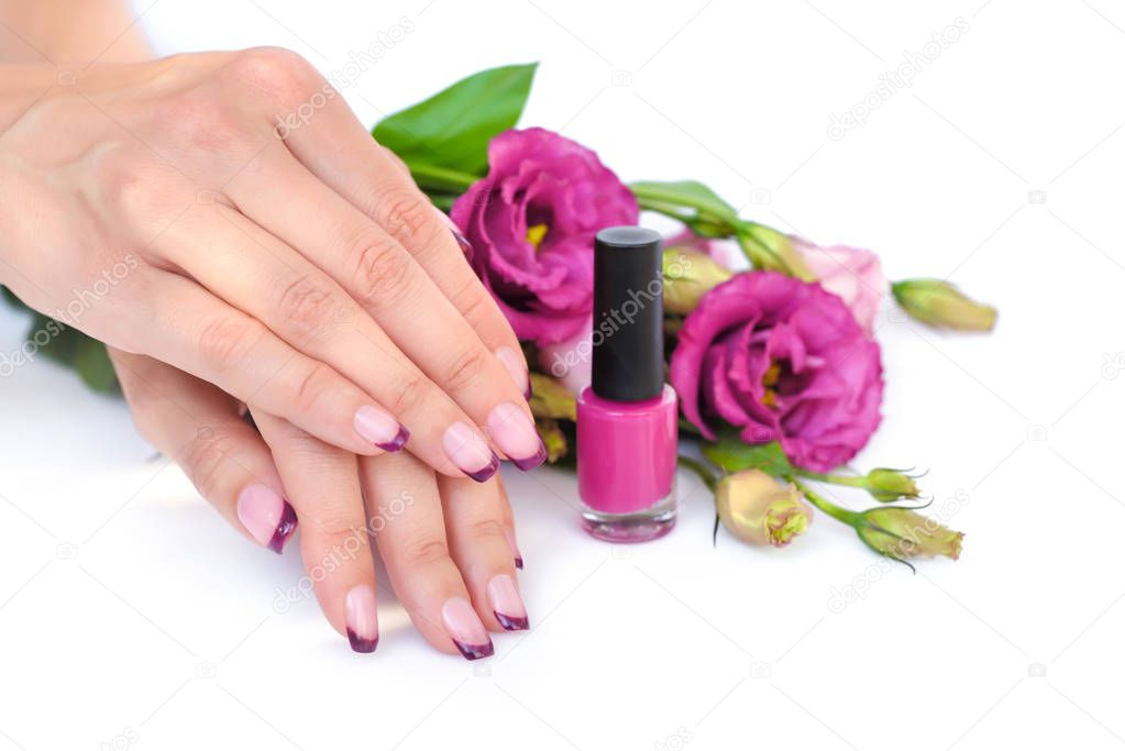 Hands of a woman with pink french manicure and flowers eustoma