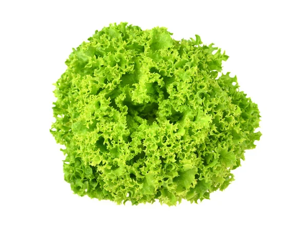 Čerstvý zelený salát na bílém pozadí — Stock fotografie