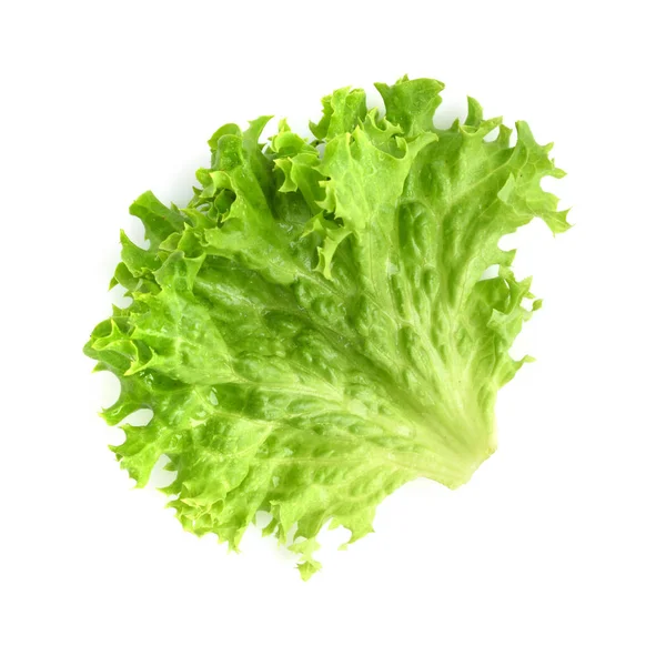 Salad leaf. Lettuce isolated on white background — Stock Photo, Image
