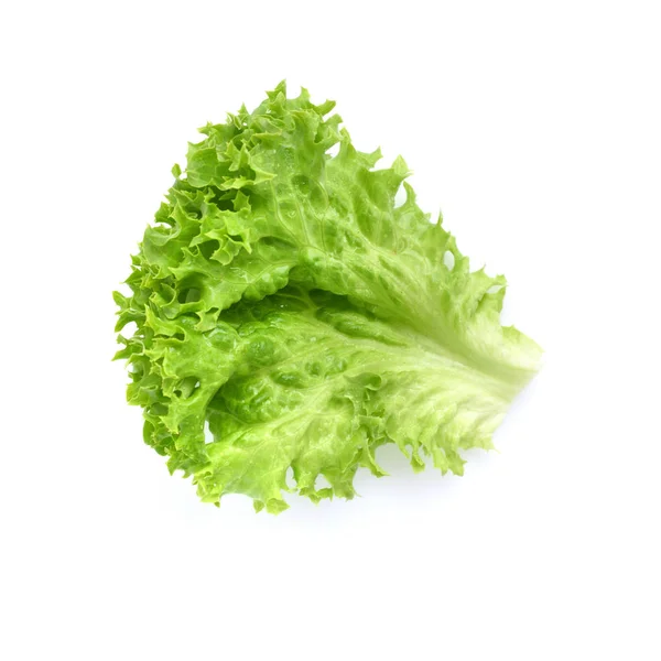 Salad leaf. Lettuce isolated on white background — Stock Photo, Image