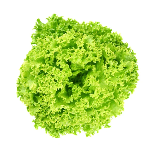 Čerstvý zelený salát na bílém pozadí — Stock fotografie