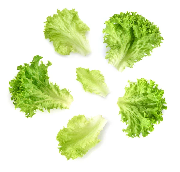 Lettuce leaves isolated on white background. Top view — Stock Photo, Image
