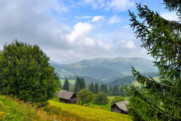 Przyroda w górach, piękne górskie krajobrazy, Karpaty, wioska w górach. — Zdjęcie stockowe