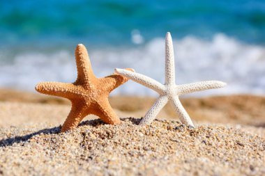 Sahildeki güzel deniz yıldızları denizin arka planında ve güneşli bir günde dalgalar.