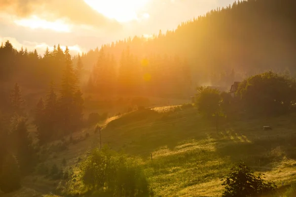 Beau paysage de montagne avec des rayons de soleil . — Photo