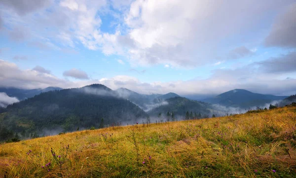 Niesamowity krajobraz górski z mgłą i barwnymi ziołami. — Zdjęcie stockowe