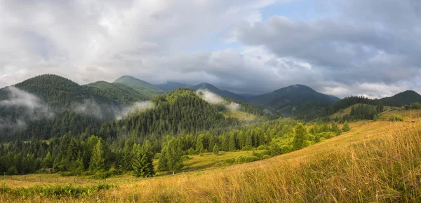 Incredibile paesaggio montano con nebbia ed erbe colorate . — Foto Stock