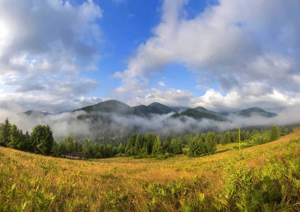 Erstaunliche Berglandschaft mit Nebel und bunten Kräutern. — Stockfoto