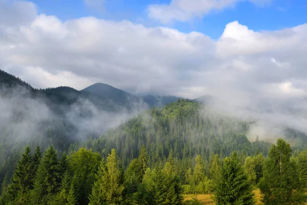 Prachtige berglandschap met mist. — Stockfoto