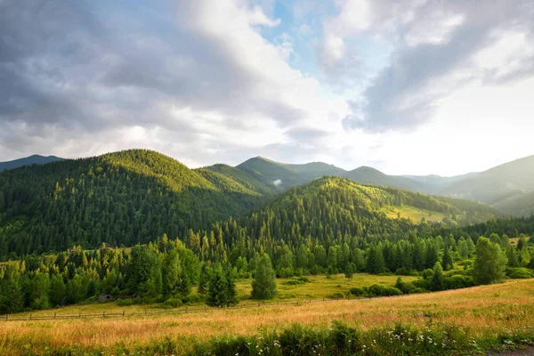 Ormanlık yamaçları ile güzel dağ manzarası. — Stok fotoğraf