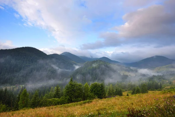 Удивительный горный пейзаж с туманом и красочными травами . — стоковое фото