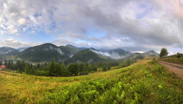 Geweldig berglandschap met mist en kleurrijke kruiden. — Stockfoto