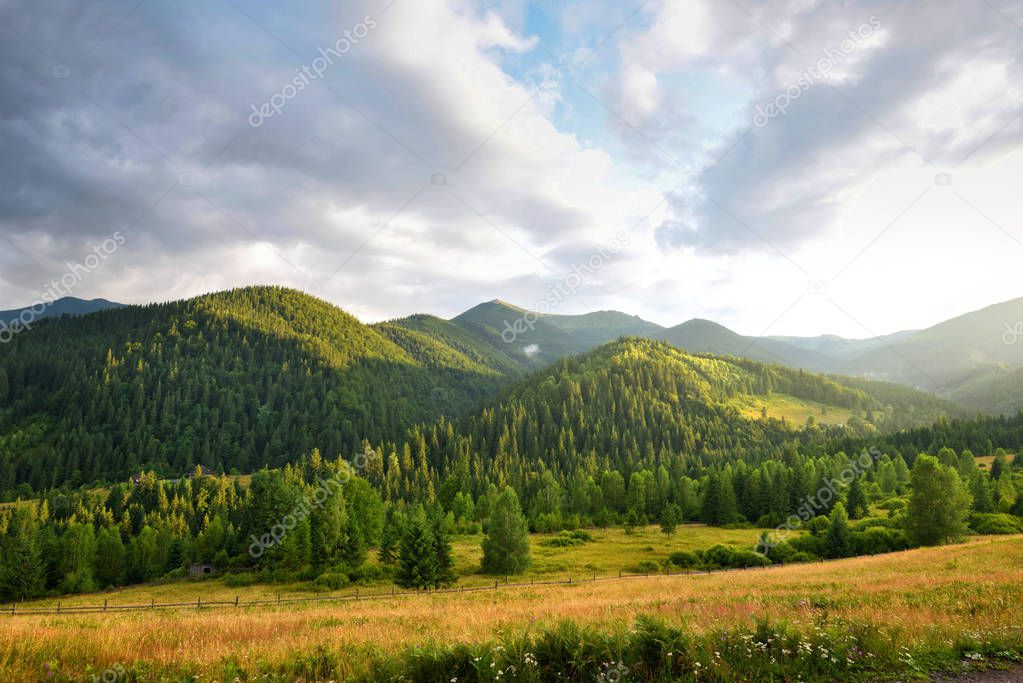 Beautiful mountain landscape with wooded slopes. 
