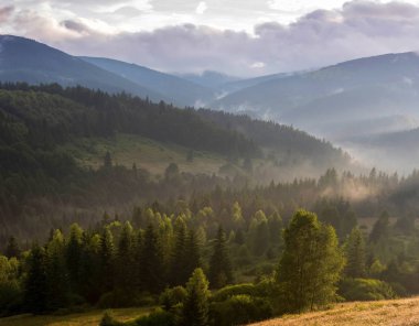 Ormanlık yamaçları ile güzel dağ manzarası.
