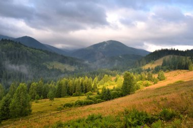 Sis ve renkli otlar ile Amazing dağ manzara. 