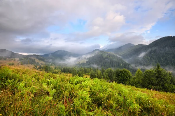 Paysage de montagne incroyable avec brouillard et herbes colorées . — Photo